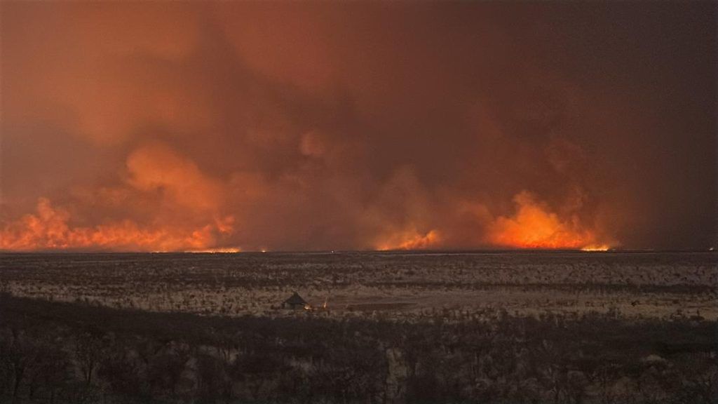 Namibian Firefighters